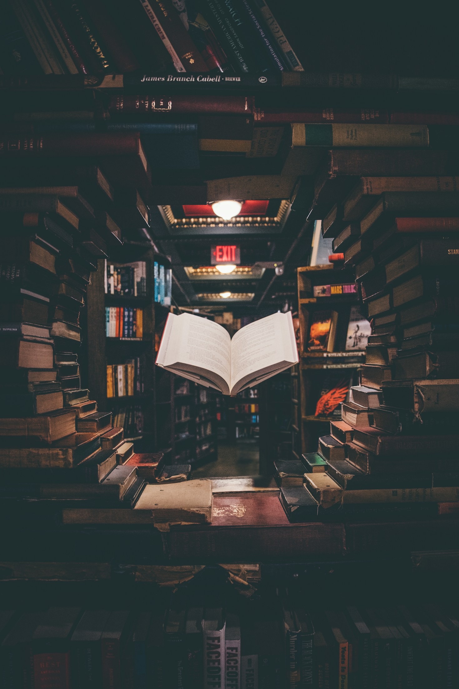 How Raven J Addams Finds Inspiration for Her Books